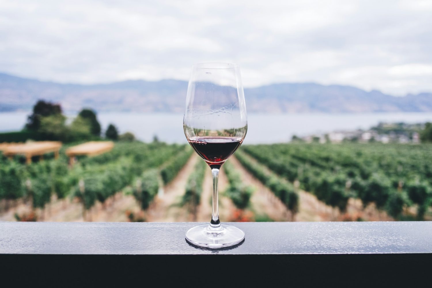 Event, Lager & Seminare » Weinbergsafari für Männer